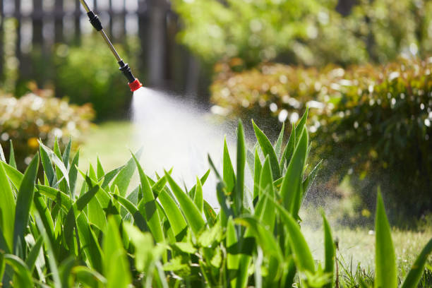 24/7 Emergency Mosquito Control experts in Leonville, LA